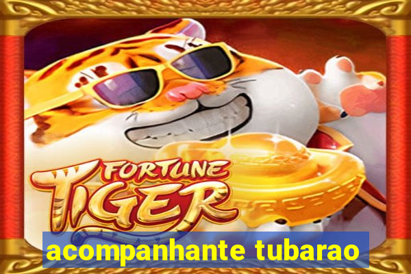 acompanhante tubarao